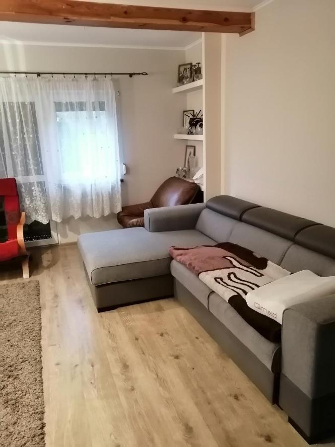 Noclegi Przy Kominku Miedzyles  Buitenkant foto
