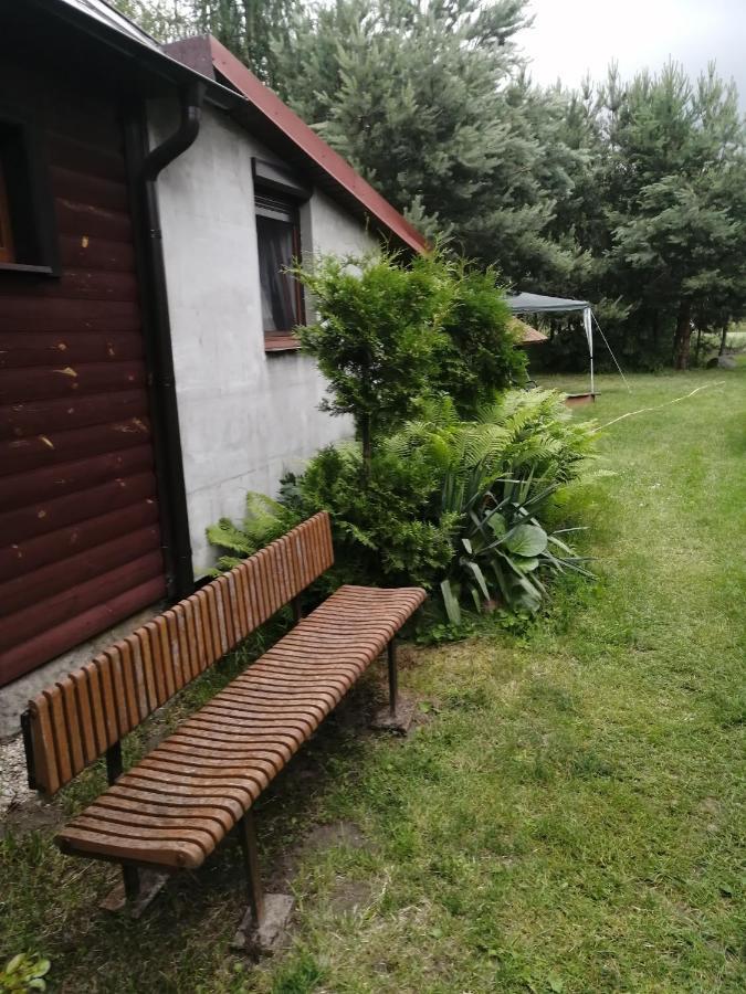 Noclegi Przy Kominku Miedzyles  Buitenkant foto