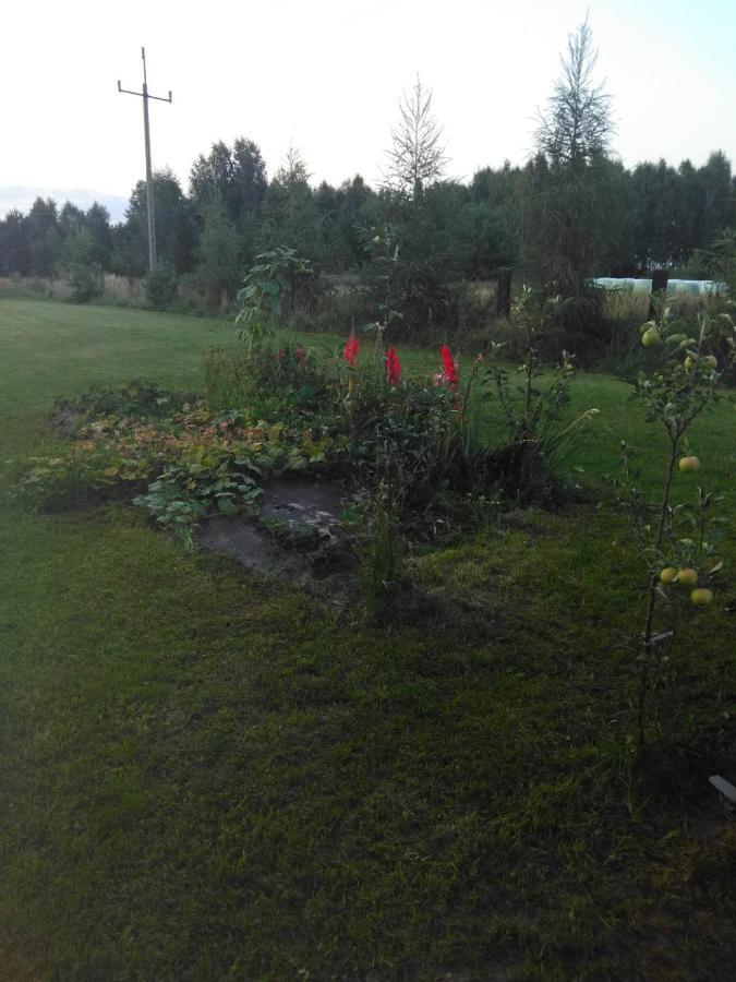Noclegi Przy Kominku Miedzyles  Buitenkant foto