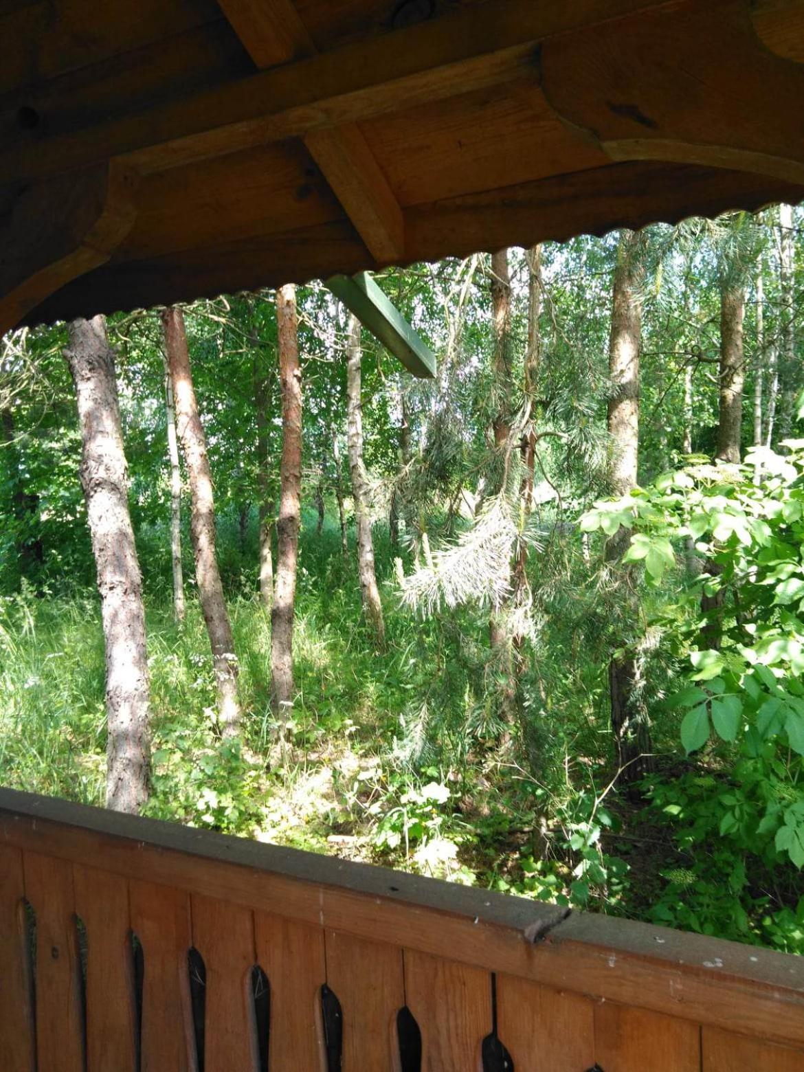 Noclegi Przy Kominku Miedzyles  Kamer foto