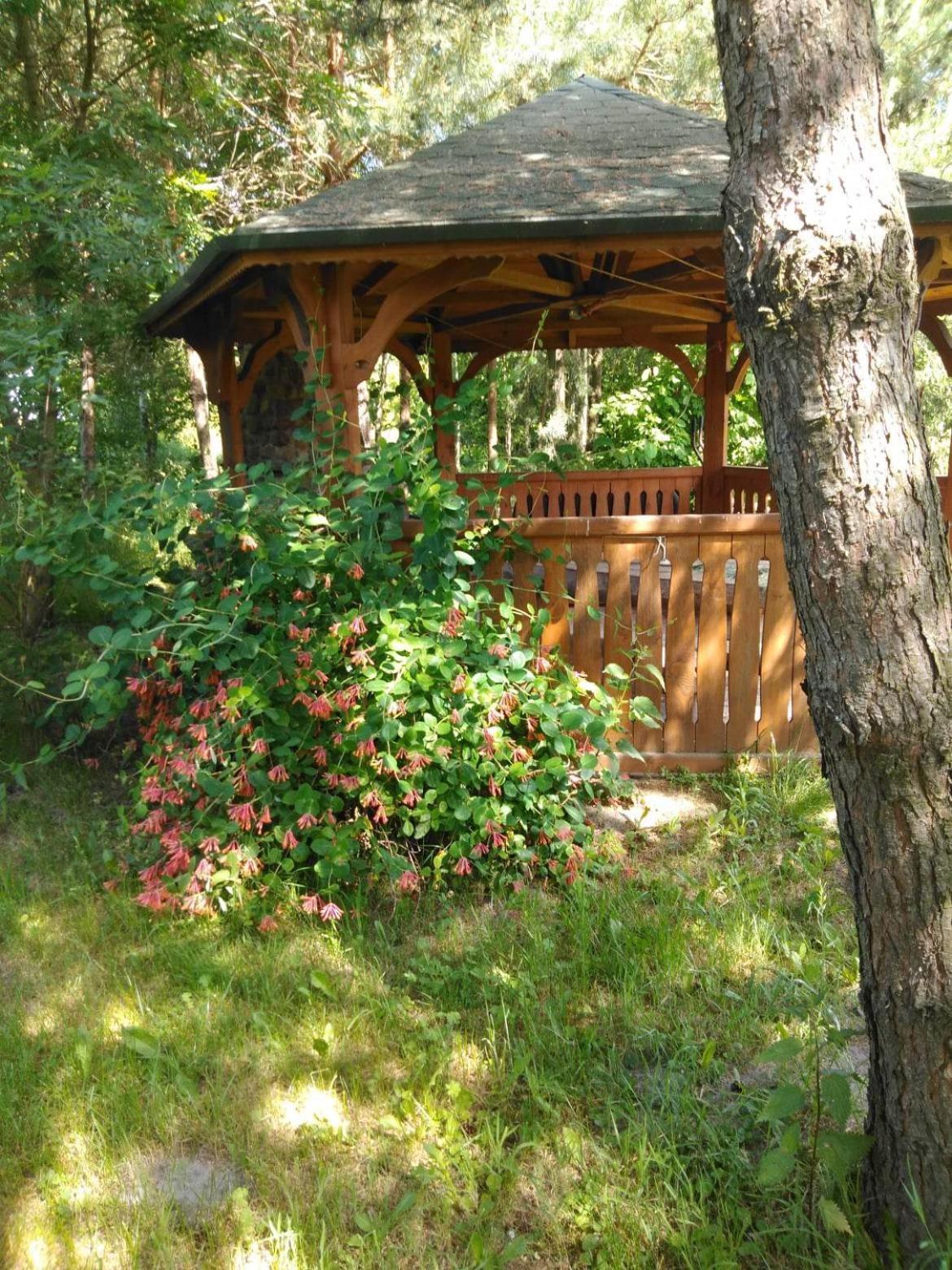 Noclegi Przy Kominku Miedzyles  Kamer foto